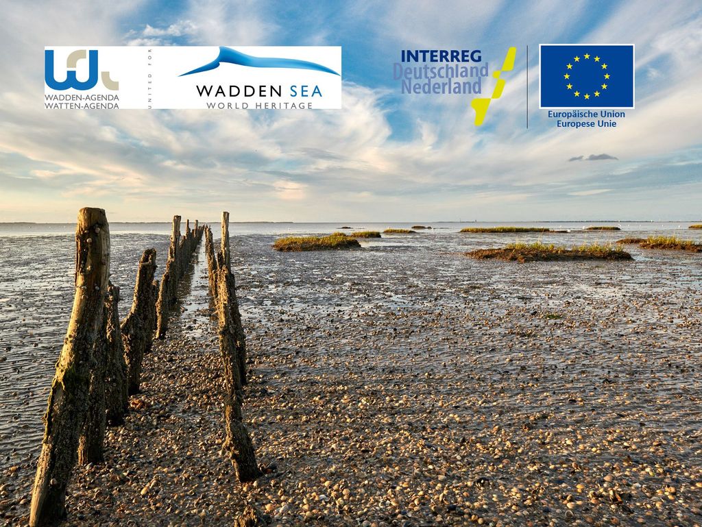 Nachhaltiger Tourismus am UNESCO-Weltnaturerbe Wattenmeer