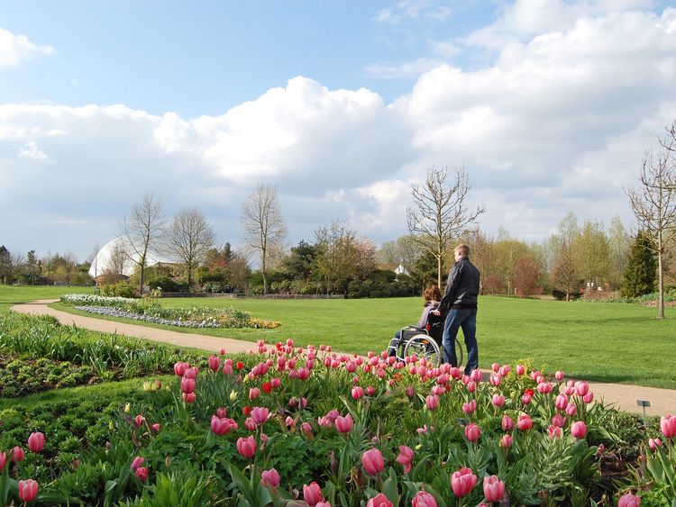 Person im Rollstuhl im Park der Gärten in Bad Zwischenahn